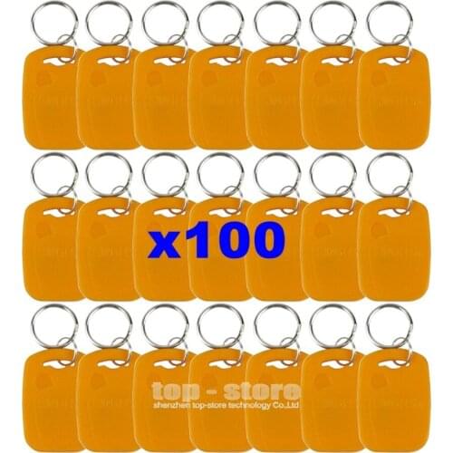DIYSECUR 100pcs/lot Rfid 125Khz Proximity Rfid ID Card Keychain Key Tags Keyfobs For Door Key Yellow