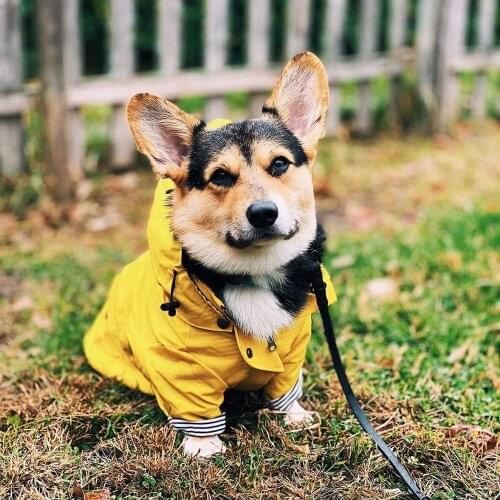 Dog Raincoat Jacket Bulldog Teddy Windbreaker Fashion Puppy Waterproof Coat Rainwear Outfit Adorable Dog Raincoat Ropa Perro