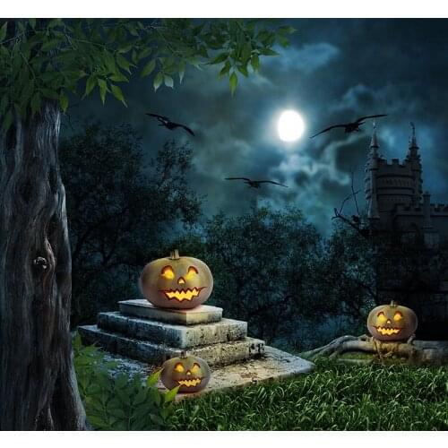 Halloween decoration background for kids photo vinyl Fotografia fund photographic backdrops for photographer studio props HA-347