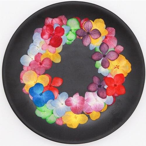 120pcs Pressed Dried Dyeing Hydrangea Flower Herbarium For Epoxy Resin Jewelry Bookmark Phone Case Face Makeup Nail Art DIY