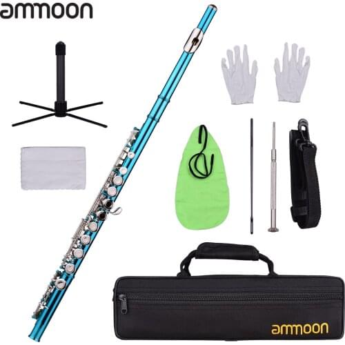 Ammoon Closed Hole C Flute 16 Keys Cupronickel Nickel-plated Wind Instrument with Carry Case Flute Stand Gloves Cleaning Cloth
