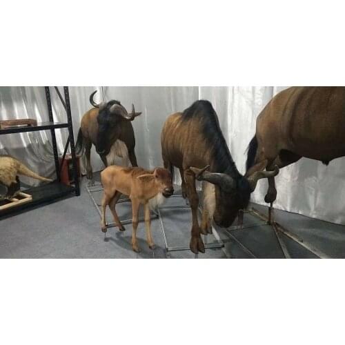 Large art flocking sculpture Custom flocking crafts Large animal model flocking