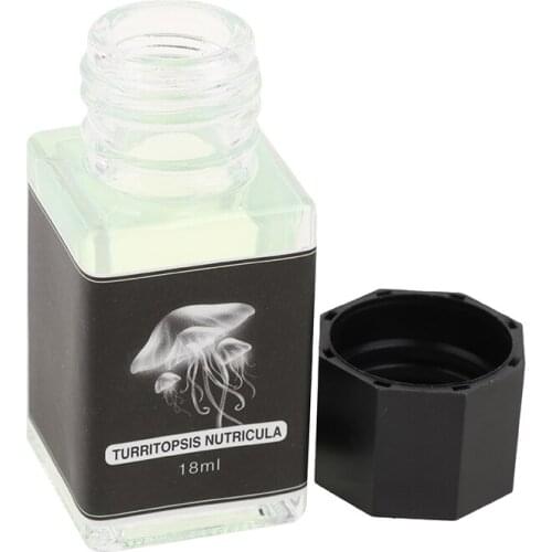 18ml Non-Carbon Magic Invisible Ink Graffiti Black Light Combo Creative Stationery Invisible Ink For Fountain Glass Dip Pen