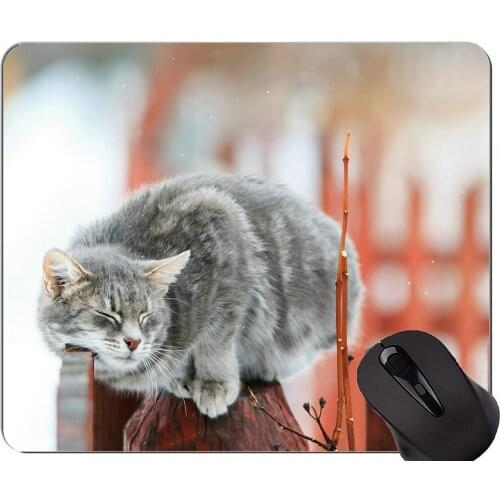 Mouse Pad with Stitched Edge,Depth Of Field Pet Winter Animal Cute Cat Home Office Computer Accessories Mousepads