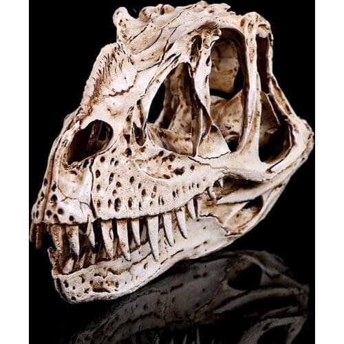 Nosinosaurus dinosaur Resin Skull Creative home furnishing Personalities head statue home decoration