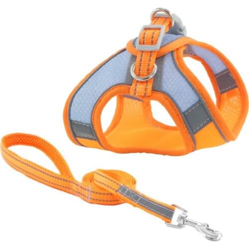 DUOMASUMI Collars, Harnesses And Leashes