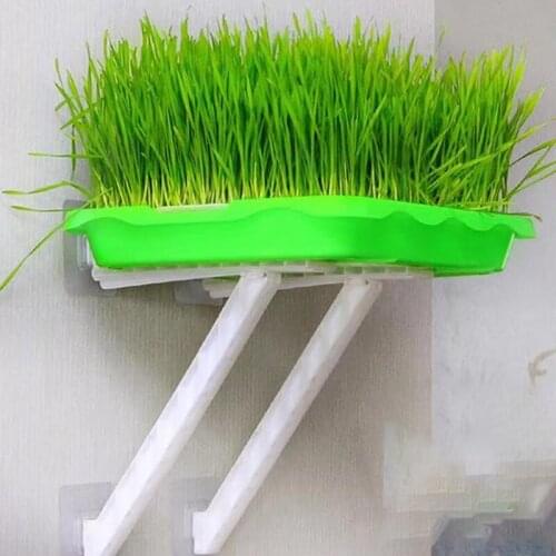 Seed Sprouter Tray Double Layer Soilless Bean Culture Hydroponic Nursery Plate Sprouting Pot Planter Garden Home Plastic Tool