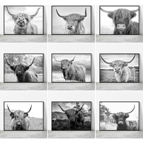 Black and White Highland Cow Canvas Painting Prints and Posters Wild Animals Cattle Canvas Paintings for Living Room Decor