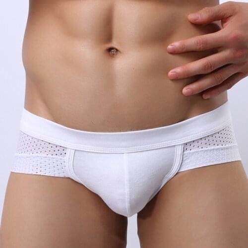 Male Sexy Underwear Mens Ice Silk Mesh Briefs Gay Nylon Penis U Pouch Men Bikini Brief Low Rise Panties Man Underpants