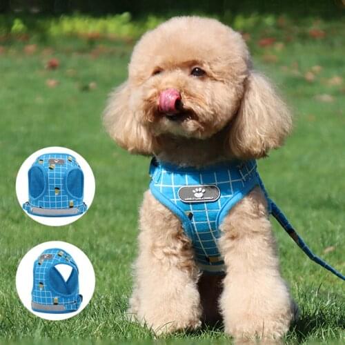 Adjustable Cute Pet Harness With leash Novel Lattice Style Dogs Cats Chest Vest Reflective Puppy Kitty Walking Lead Leash Set