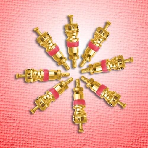 4Pcs/set Car Tire A/C Valve Cores with 4 in 1 Tyre Valve Stem Remover for Bicycle Bike Motorcycle Auto Repair Tool Kit