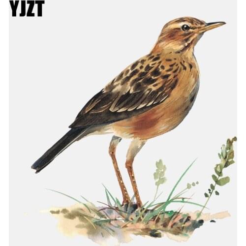 YJZT 12.6CM*13.9CM Cute Bird Standing In The Grass PVC Motorcycle Car Sticker 11-01491