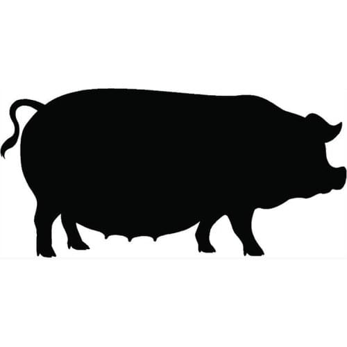 58cm x 39.04cm 2 x Pig Graphical (one For Each Side) Car Sticker For Cars Side Truck Window ,Auto SUV Door Vinyl Decal 13 Colors