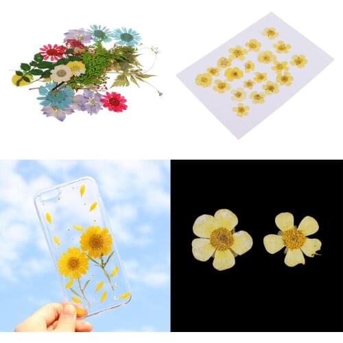 Pack of 50pcs Natural Dried Flower Real Flower Mixed For DIY Resin Ornament Craft Card Making Scrapbooking Embellishments