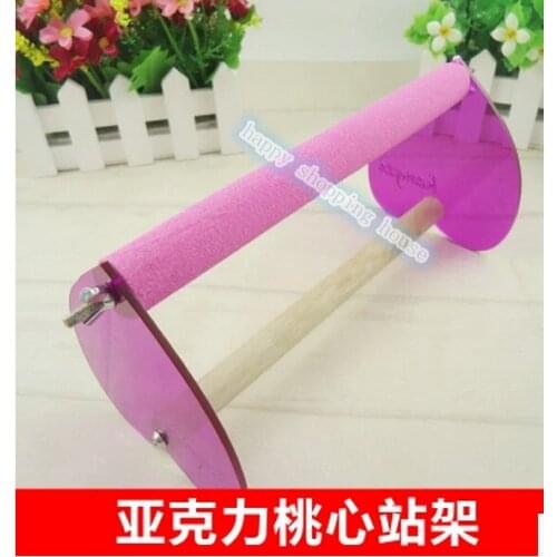 Pet birds Stand in a small parrot three acrylic tripod 01