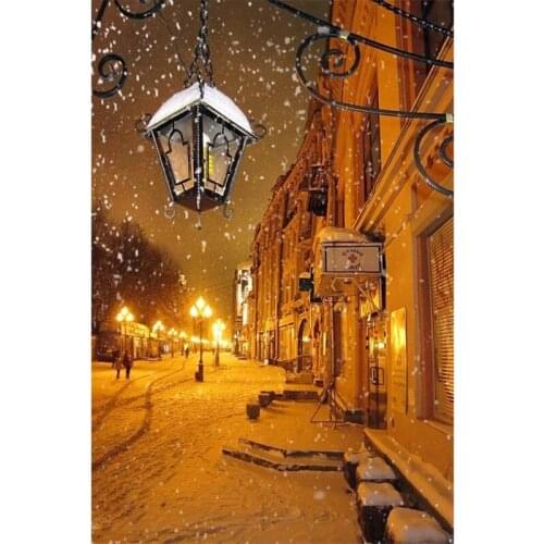 5D DIY Diamond Painting Wedding Mosaic Full Diamond Cross Stitch 3D Diamond Embroidery Snow Street View Home Decor Painting F561
