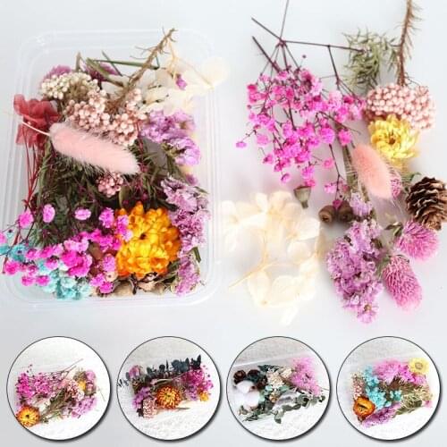 Flower Material Package Diy Epoxy Preserved Dried Flower Crafts Handmade Bookmark Scented Candle Soap Dried Flower Material