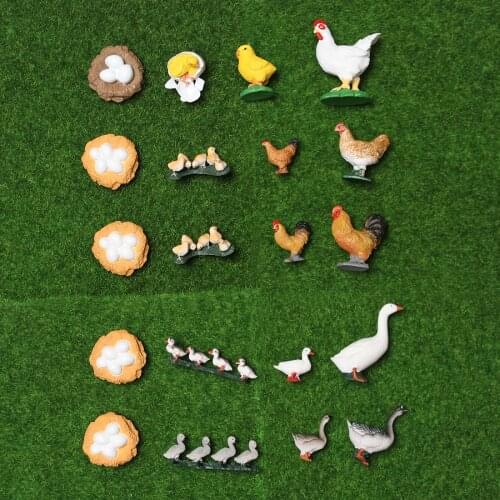 Simulation Poultry Growth Cycle Chicken Goose Hen Rooster Life Cycle Model Action Figures Teaching Educational toys For Kids