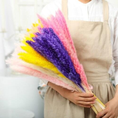 Natural Reeds Dried Grass Flowers Phragmites Bunch 15pcs Small Pampas Home Artificial Plants Communis Party Wedding Dekoration