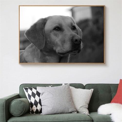 Animal Poster Wall Black Whtie Decor Dog Cat Zebra Nordic Wall Art Pictures for Living Room Kids Room Decor