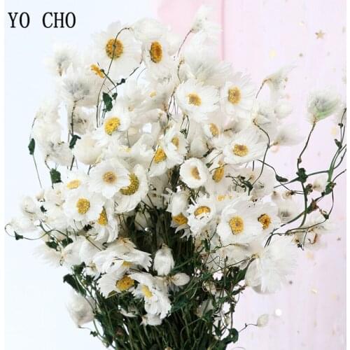 YO CHO Eternal flower white daisy flower dried plant small immortelle bouquet wedding decoration real flower home decoration