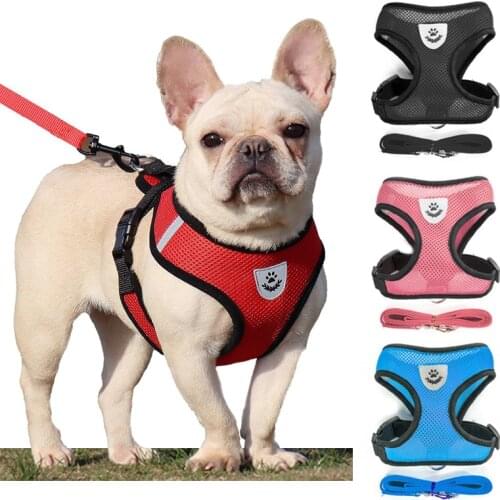 Breathable Mesh Dog Harness and Leash Set Dog Accessories Puppy Cat Harness Vest For Small Dogs Chihuahua arnes para perro