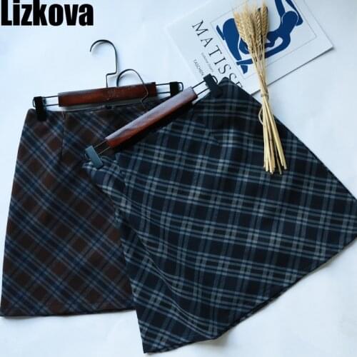 LizKova Women's Mini Skirts