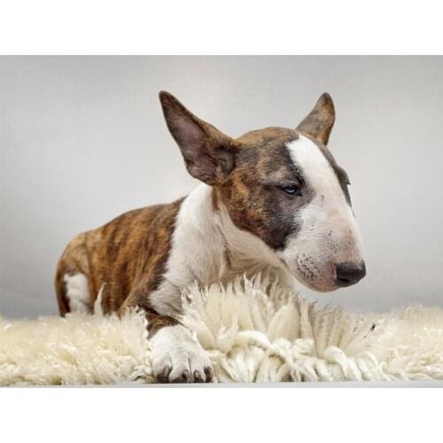 5D Diy Diamond Painting Pit Bull Terrier dog Resin Full Square Round Needlework Cross Stitch Kits Embroidery Home DecorZP-2740