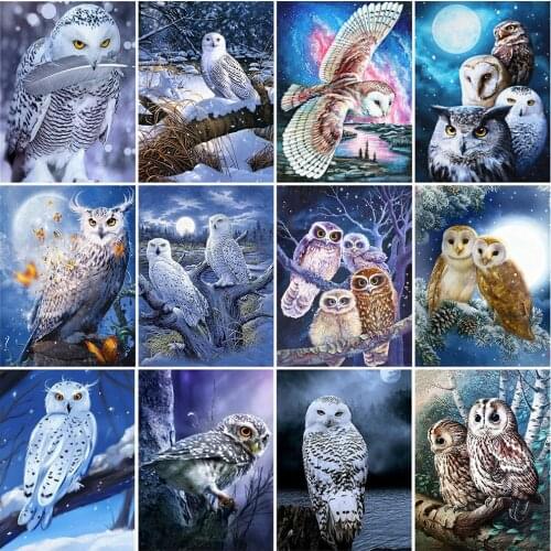 Evershine Full Square Round Diamond Painting Owl Diamond Embroidery Animal Cross Stitch Mosaic Rhinestones Home Decoration