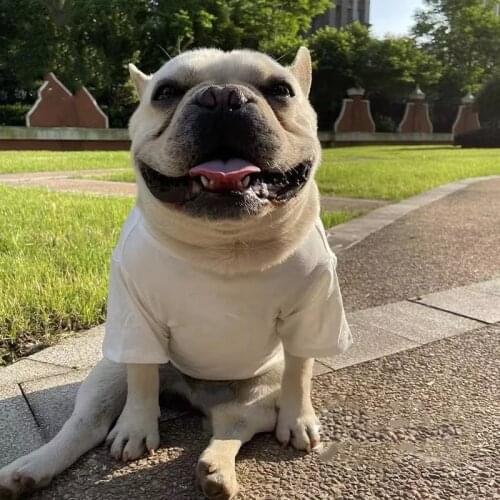 Spring Summer Pet Dog T-shirt Vest Clothes Puppy Coat Jacket Sweater For Small Medium Dogs Corgi Pug Schnauzer LXC12