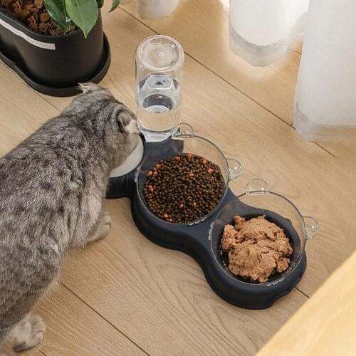 HUHU Bowls For Cats