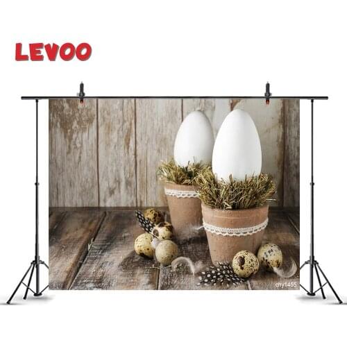 LEVOO Easter Backdrop Goose Eggs Hay Wood Decoration Photography Background Photo Studio Photophone Printed Shoot Props Vinyl