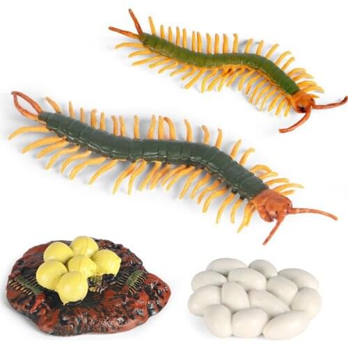 Simulation Animal Growth Model Cycle Centipede Earthworm Figures Collection Cognition Educational Toy for Children