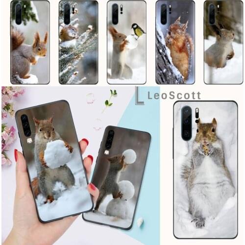 Squirrel in the snow Phone Case For Huawei honor Mate P 9 10 20 30 40 Pro 10i 7 8 a x Lite nova 5t
