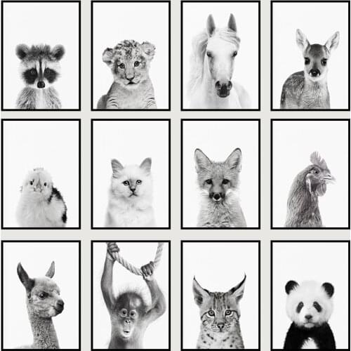 Baby Panda Bear Black and White Llama Print Minimalist Animal Art Horse Pictures Nursery No Frame Wall Painting