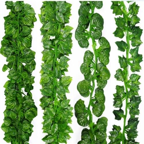 Artificial Vines CHANG JIN China