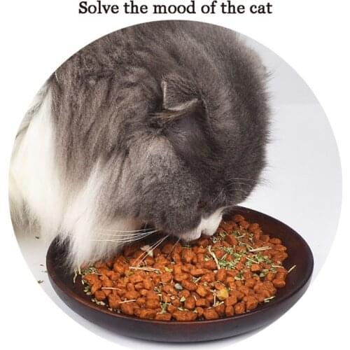 Organic Natural Premium Catnip Cattle Grass Menthol Flavor Pet Healthy Safe Edible Treating Funny Cat Toys Cat Accessories