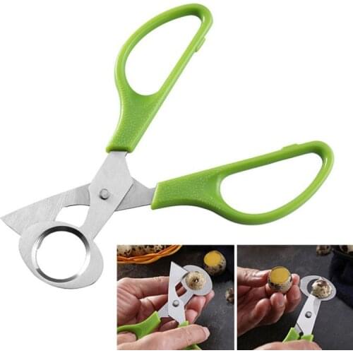 Kitchen egg shears stainless steel round mouth egg opener Bird eggs quail eggs scissors egg shears