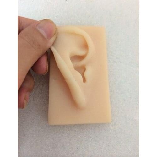 1:1 Natural Size Ear Model Life Size Silicone Ear Acupuncture Practice Model Simulation Model of The Ear Right and Left oreille