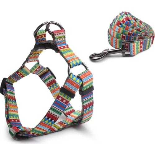Pet Collar Nylon Personalized Dog Puppy Collar and Leash Pet Sets for Small Medium Large Dogs Harness and Leash Set Collar Dog