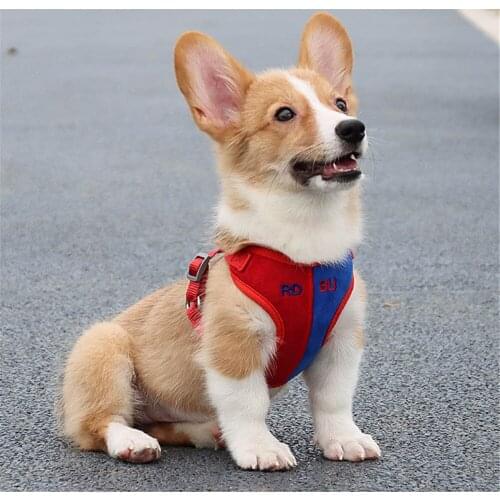 Training Dog Collar Head Collar Harness Walking Pet Control Soft Suede