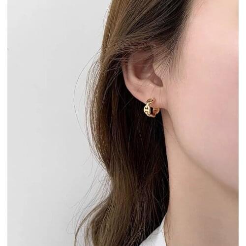 Vintage Snouts Hoop Earrings for Women Punk Jewelry Goth Metal Chain Circle Earring Female Brincos Wholesale 2021