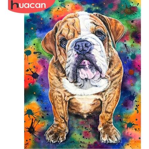 HUACAN Oil Painting Dog Animal Drawing On Canvas HandPainted Art Gift DIY Pictures Coloring By Number Kits Home Decoration