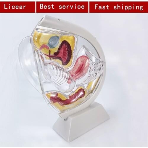 Licear Store Visual Aids