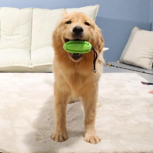 Dog Toy Teeth Cleaning Toothbrush Bite Resistant Dog Decompression Chew Elastic Rubber Leakage Ball Molar Toy Pet Puppy Supplies