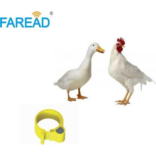 X100pcs RFID TK4100 chip125Khz RFID foot tag Ring for Chicken duck ID tagging