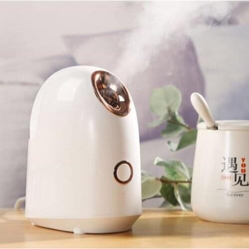 Hot Sale Face Steamer Facial Cleaner Humidifier Hydrating Anti-aging Wrinkle Women Skin Care Tools Dropshipping 30