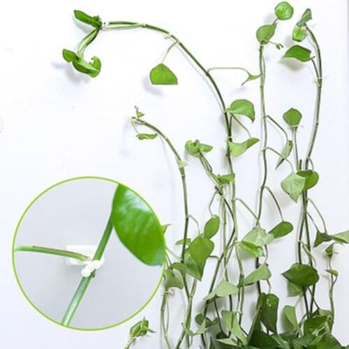 Fashion 5PCS Wall Climbing Fixer Green Plant Fixer Vine Green Vine Climbing Wall Fixer Paste No Trace Hook Family Decoration