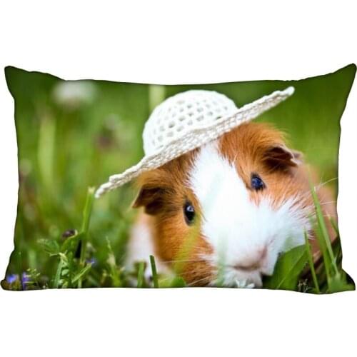 Guinea Pig Pillow Cover Bedroom Home Office Decorative Pillowcase Rectangle Zipper Pillow cases Satin Soft No Fade 01-11