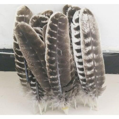 Wholesale new 500pcs pretty wild turkey tail feathers 10-12inches / 25-30cm crafts for all kinds of holiday decorations